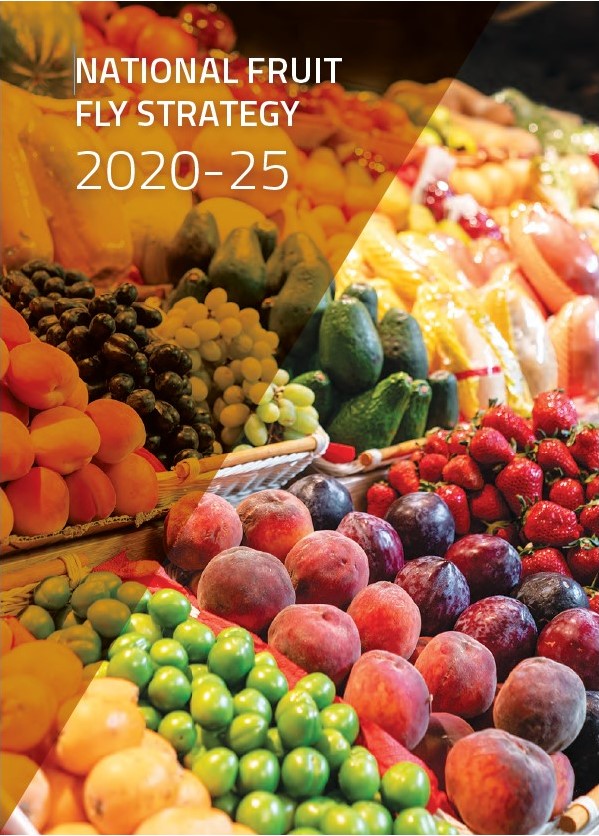 australia-NFF-strategy-2020-25.jpg